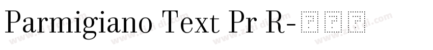 Parmigiano Text Pr R字体转换